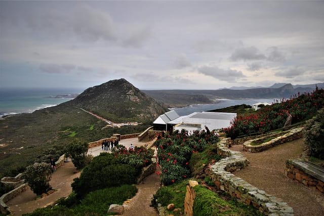 Cape Point Nature reserve 